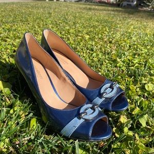 Retro Blue Neutralizer Wedges